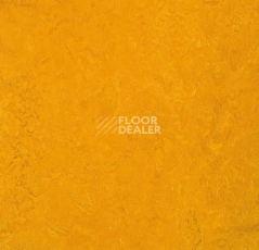 Линолеум Forbo Marmoleum Marbled Fresco 3125-312535 golden sunset фото 1 | FLOORDEALER